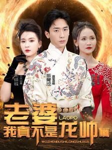 老婆我真不是龙帅啊 第21-40集