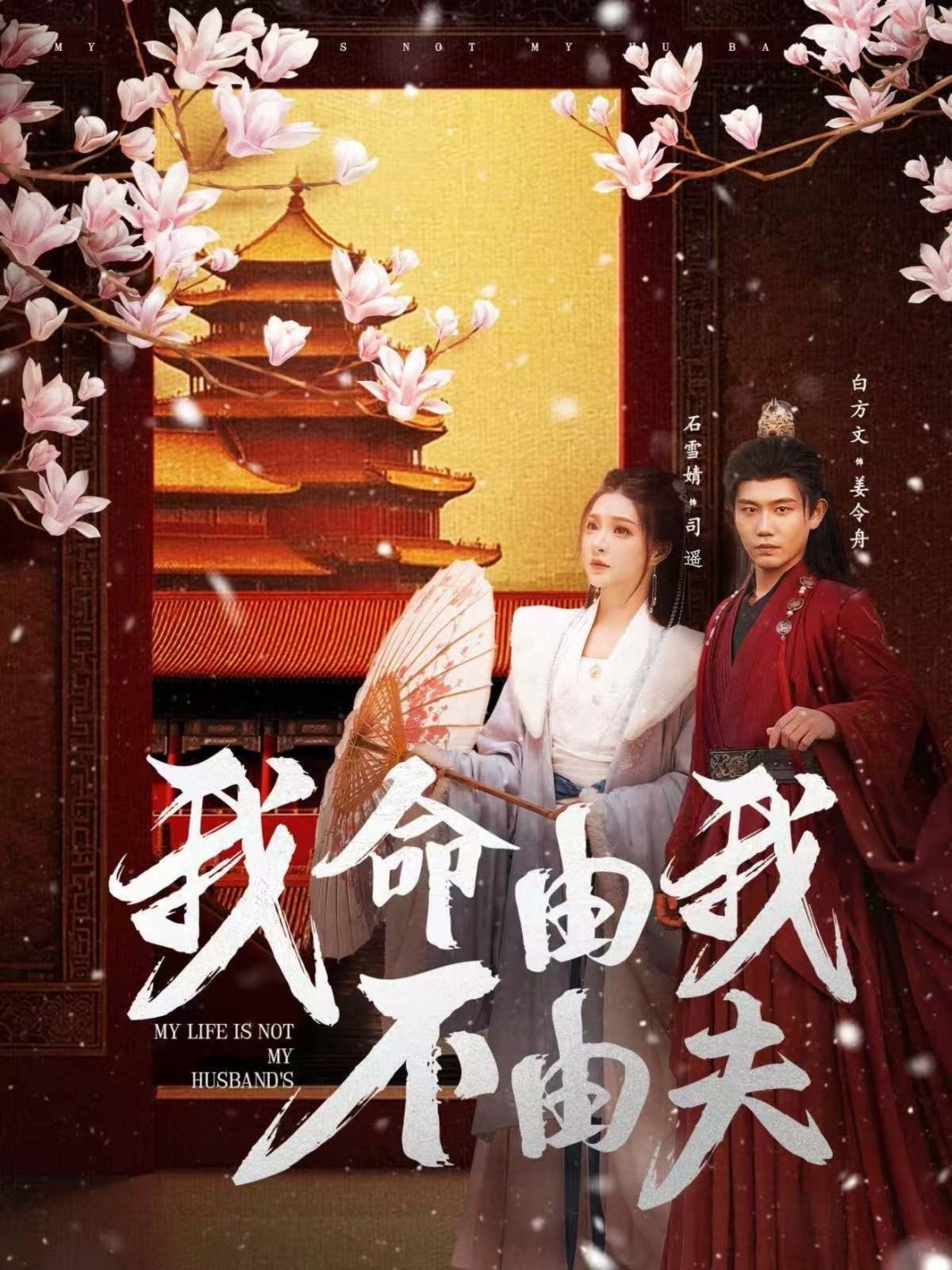 我命由我不由夫 第1-20集