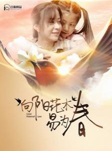 向阳花木易为春 第41-60集