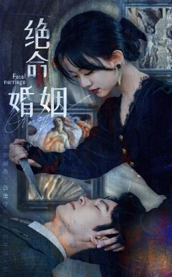 绝命婚姻 第1-20集