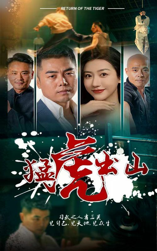 猛虎出山 第21-40集