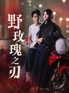 野玫瑰之刃 第21-40集