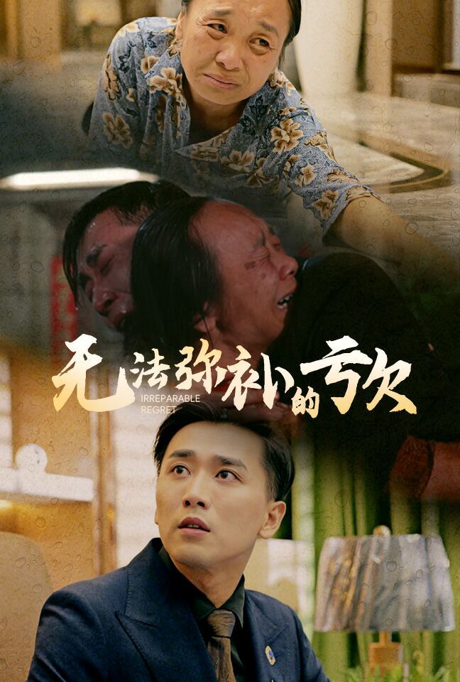 无法弥补的亏欠 第21-40集
