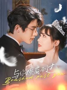 与你擦肩而过 第21-40集