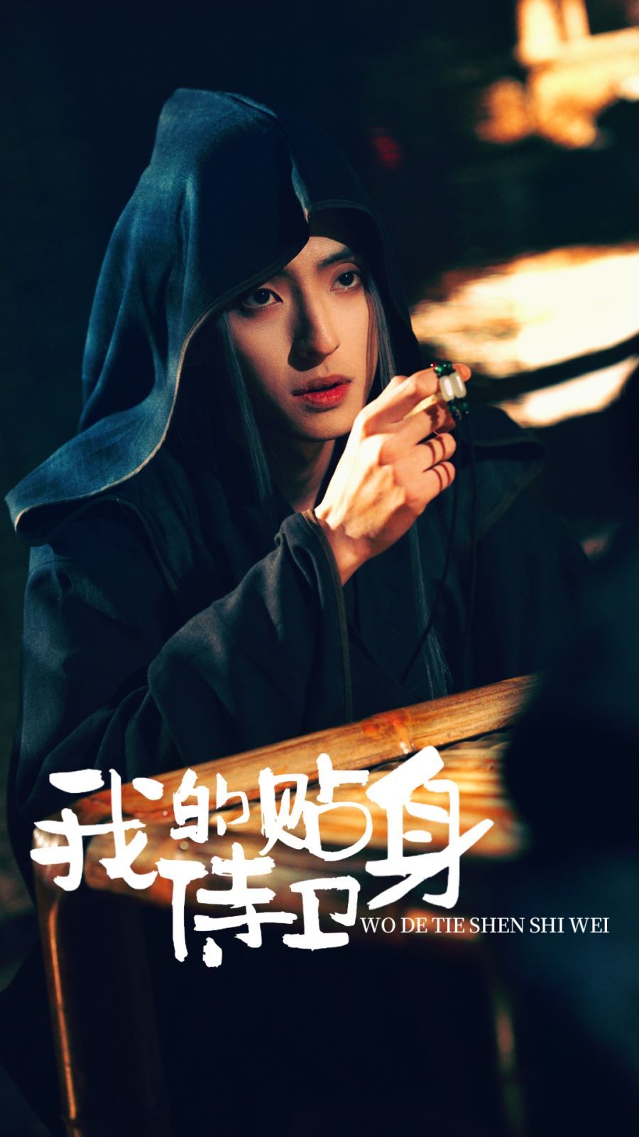 我的贴身侍卫 第21-40集