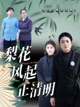 梨花风起正清 第1-20集