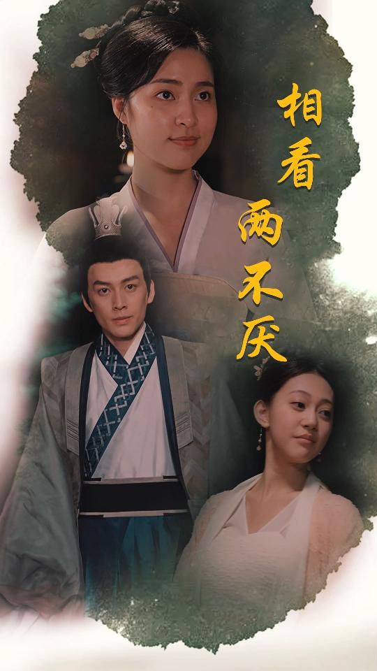 相看两不厌(这个王妃不好惹) 第41-60集