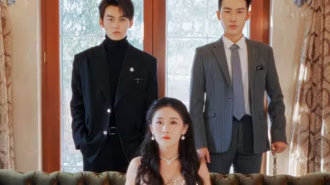 不要招惹舒小姐 第61-101集完结(大结局)