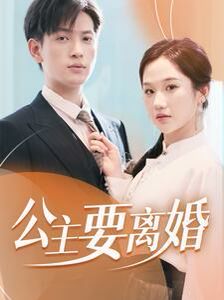 公主要离婚 第1-20集