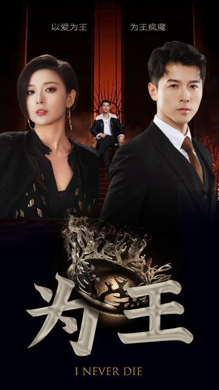 为王 第21-40集