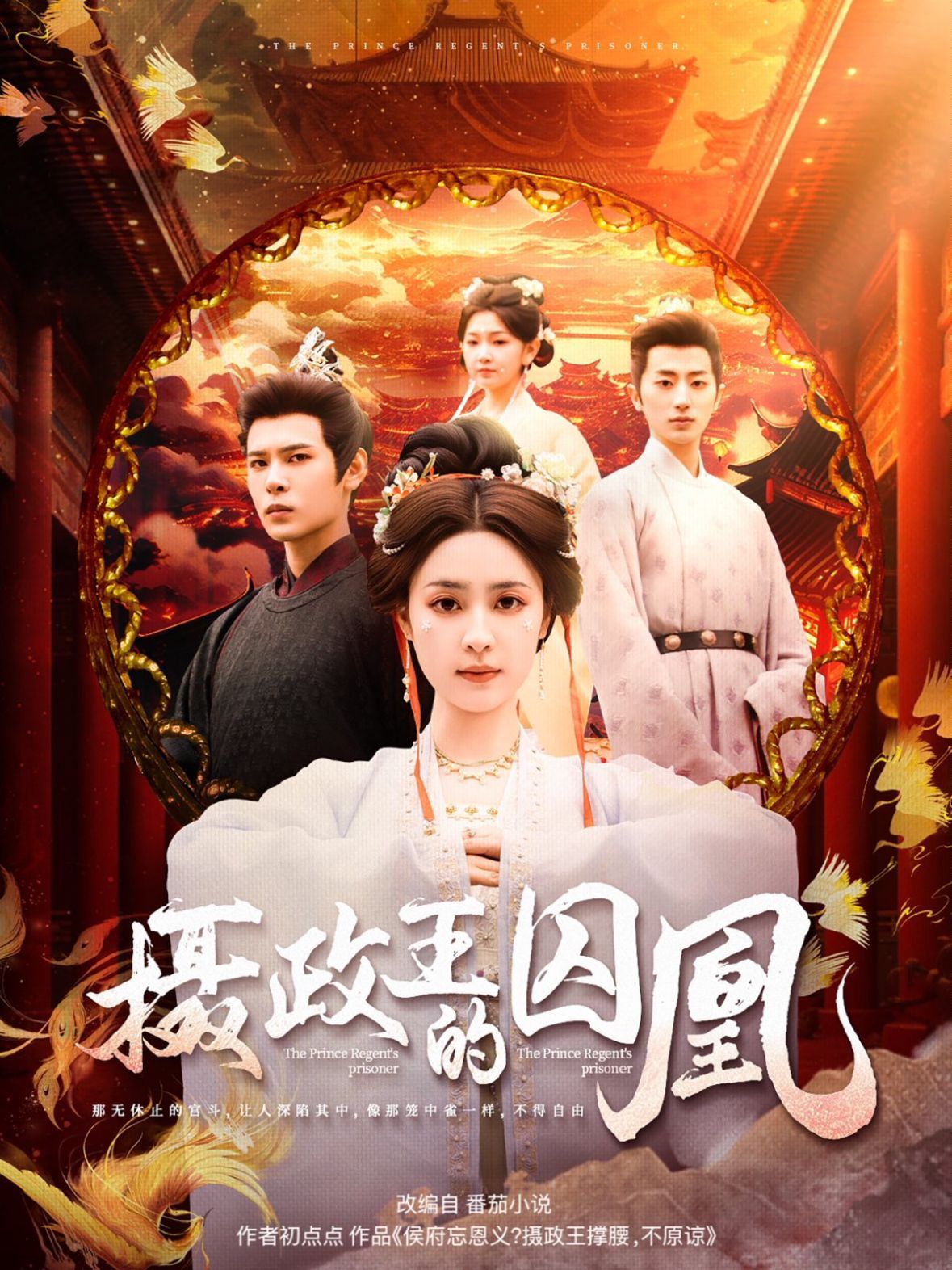 摄政王的囚凰 第1-20集