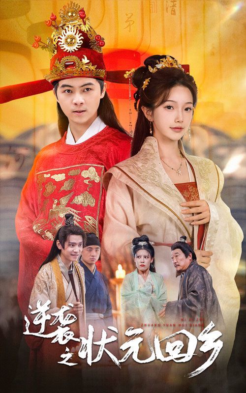 逆袭之状元回乡 第41-60集完结(大结局)