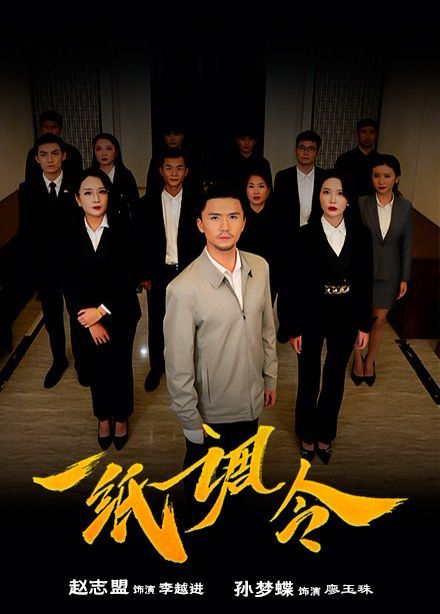 一纸调令 第41-66集完结(大结局)