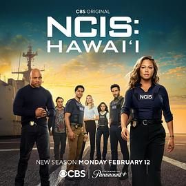 海军罪案调查处：夏威夷 第三季 5