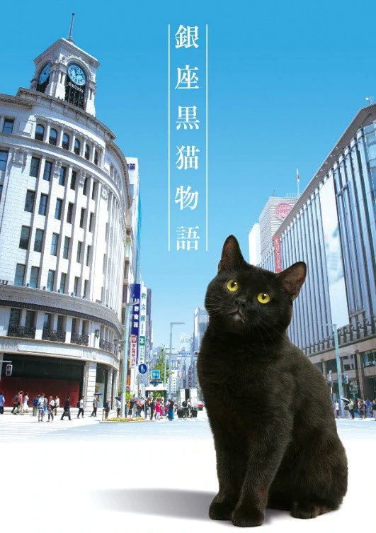 银座黑猫物语 第01集